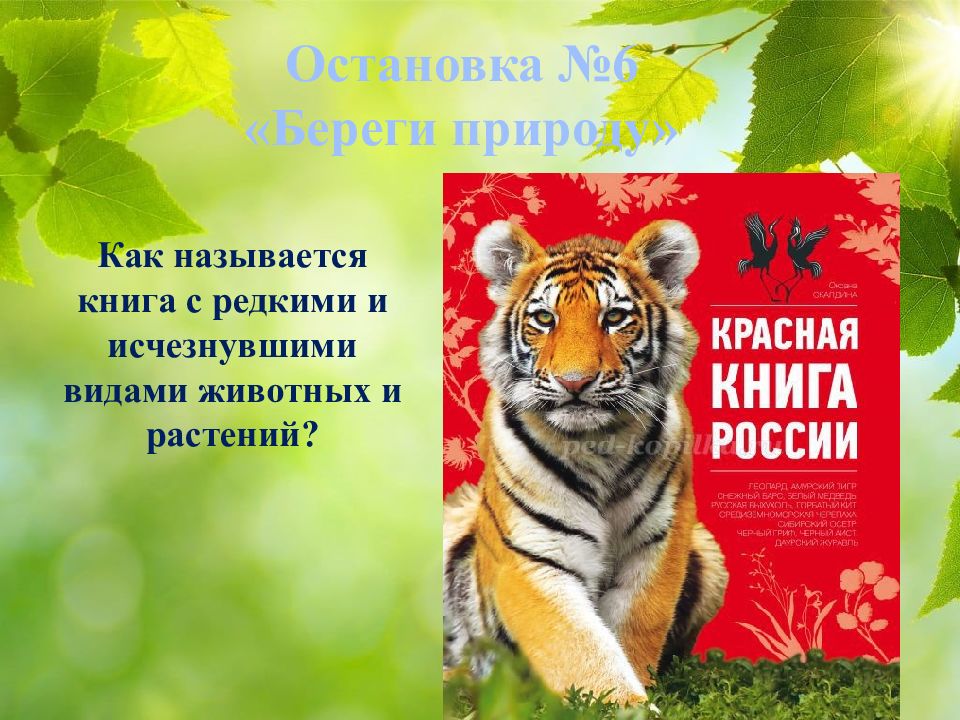 Книга природы презентация