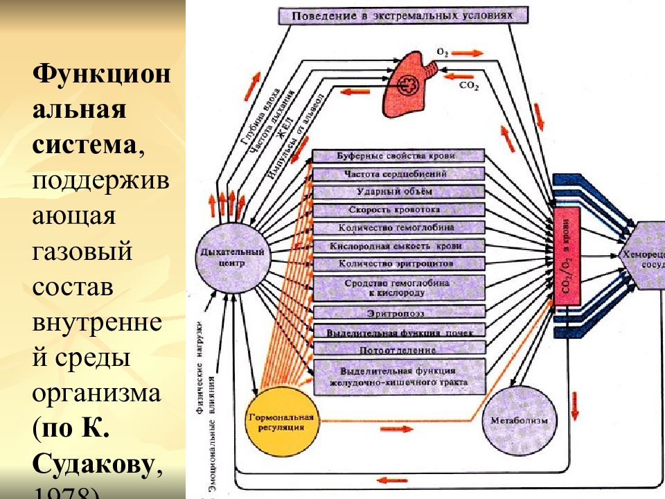 Перенос газов кровью. Перенос газов кровью схема. Газообмен с внешней средой у растений. Датчик газового состава среды.