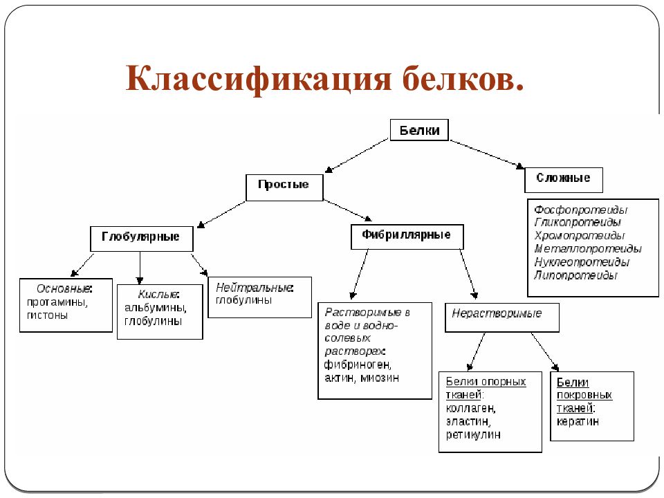 Классификация белков