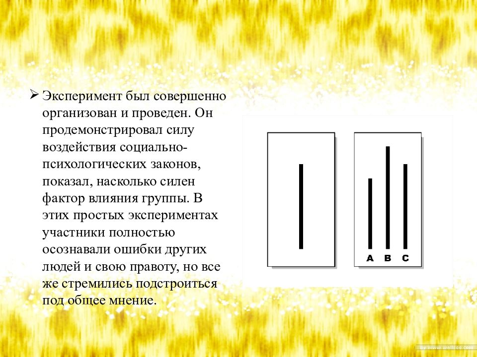 Эксперимент соломона. Эксперимент по изучению конформизма соломона аша. Эксперимент соломона аша. Эксперимент соломона аша конформизм. Эксперимент соломона аша.