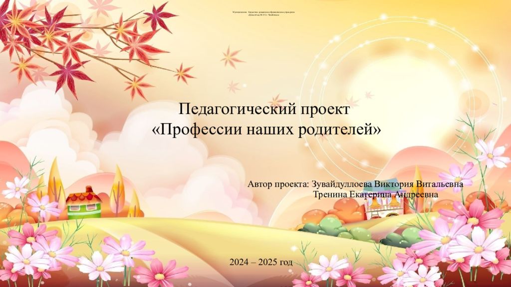 Муниципальное бюджетное дошкольное образовательное учреждение «Детский сад № 243 г. Челябинска»