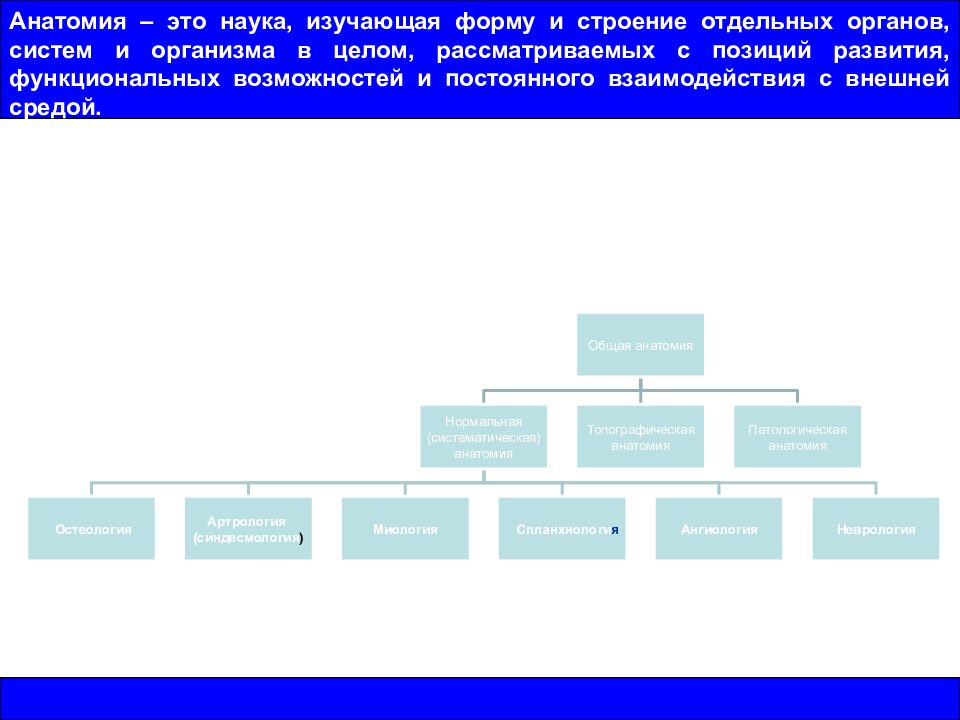 Наука изучающая работу органов. Наука изучающая форму и строение отдельных органов. Отдельное строение. Анатомия наука изучающая форму и строение человека. Функциональная анатомия это наука изучающая.