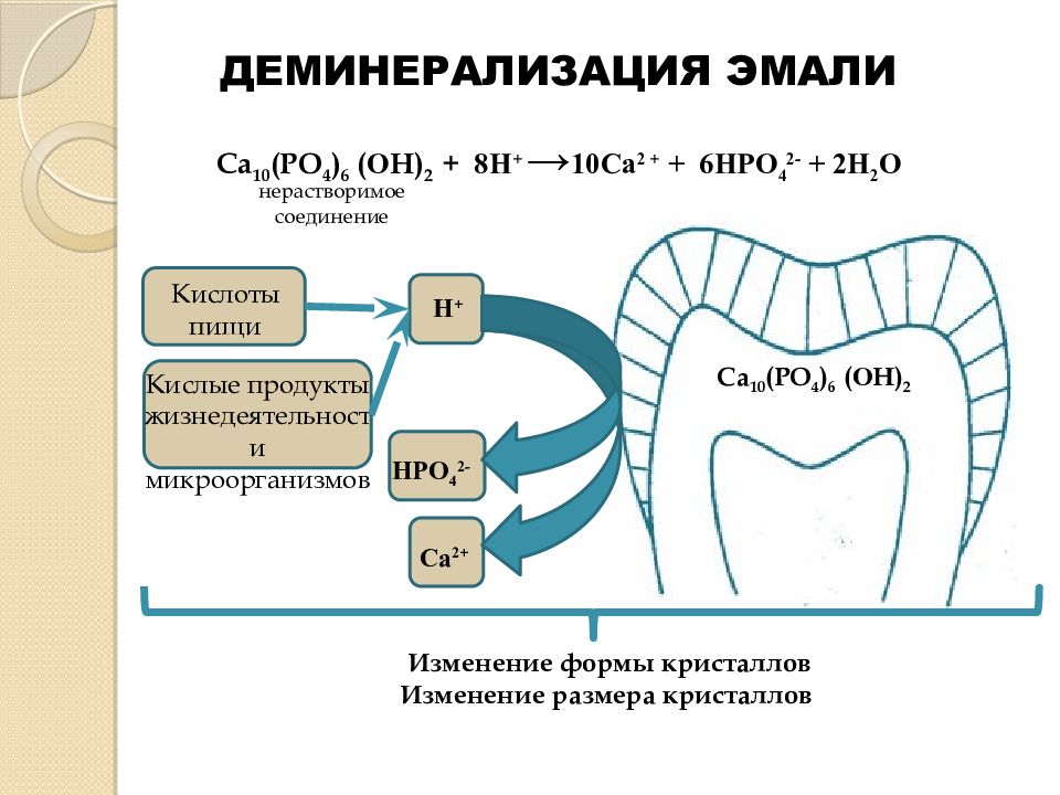 Эмаль зуба презентация