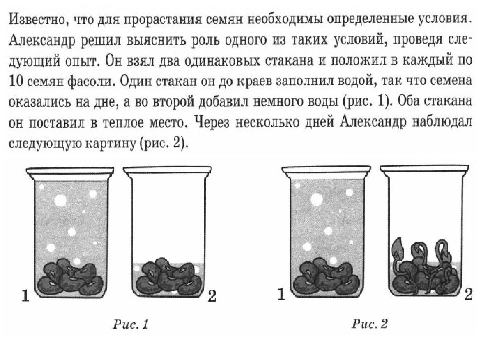 Используя рисунки решите какое из условий опыта проведенного святославом является обязательным для