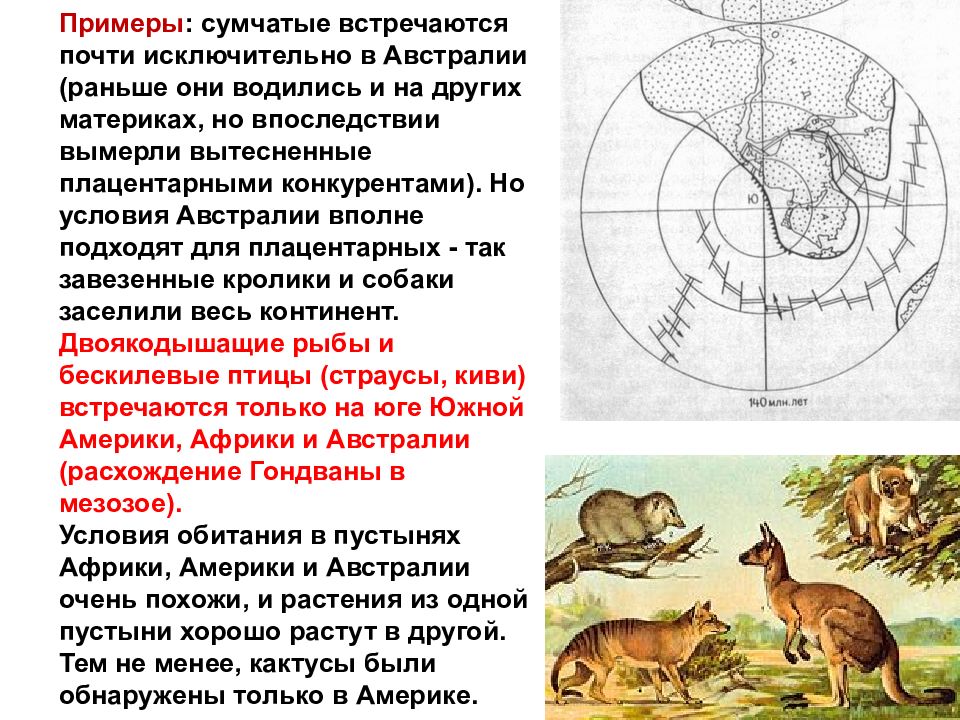 Ареалы обитания миграции закономерности размещения животных 7 класс презентация латюшин