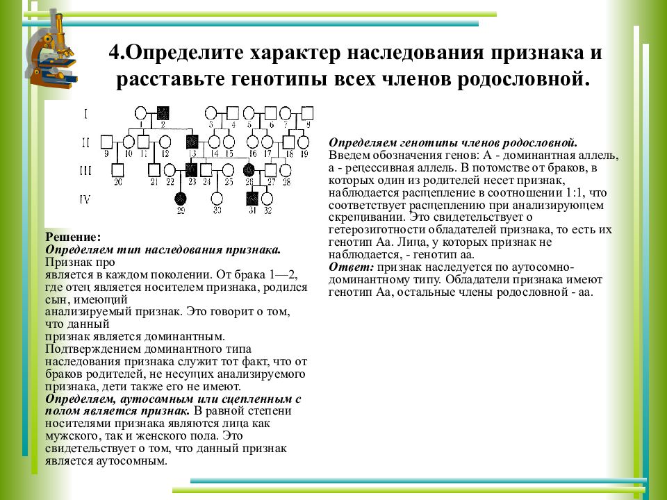 Виды наследования признака. Задачи по генетике с типом наследования. Задачи по генетике родословные сцепленное с полом наследование. Тип скрещивания и характер наследования признаков. Характеры наследования признаков генетика.