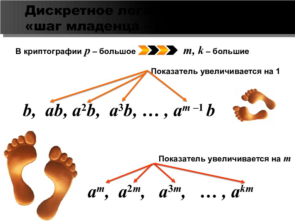 Эль схемы. Шаг младенца шаг великана алгоритм. Алгоритм шаг младенца шаг шаг великана. Методы дискретной математики в криптологии. Эль Гамаль Дискретное логарифм.