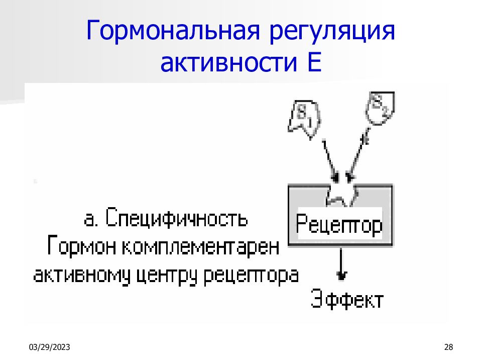 Эндокринная регуляция. Гормональная регуляция. Гормональная регуляция осуществляется с помощью. Цепочка гормональной регуляции. Что такое гормональная регуляция в биологии.