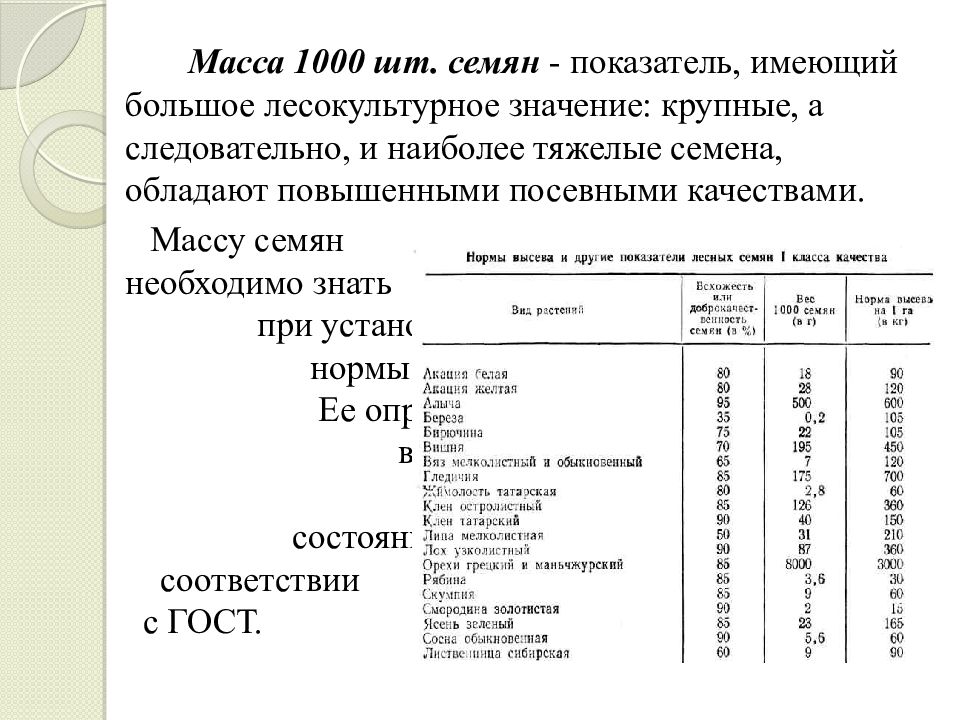 Масса среднего образца семян сосны ели и лиственницы составляет