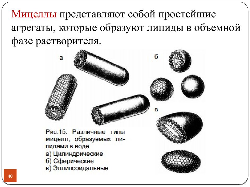 Объемная фаза. Мицеллы липидов. На споры и мицеллы. Мицеллы улитки.