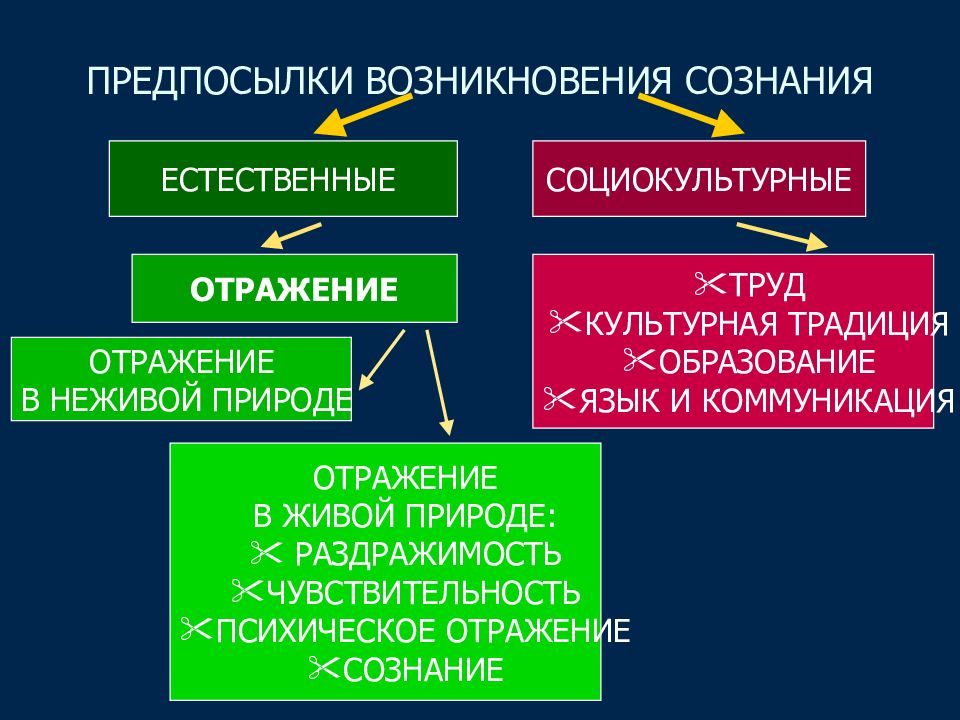 Сущность и причины возникновения фв в обществе презентация