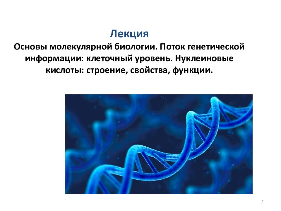 Молекулярная биология в схемах и таблицах