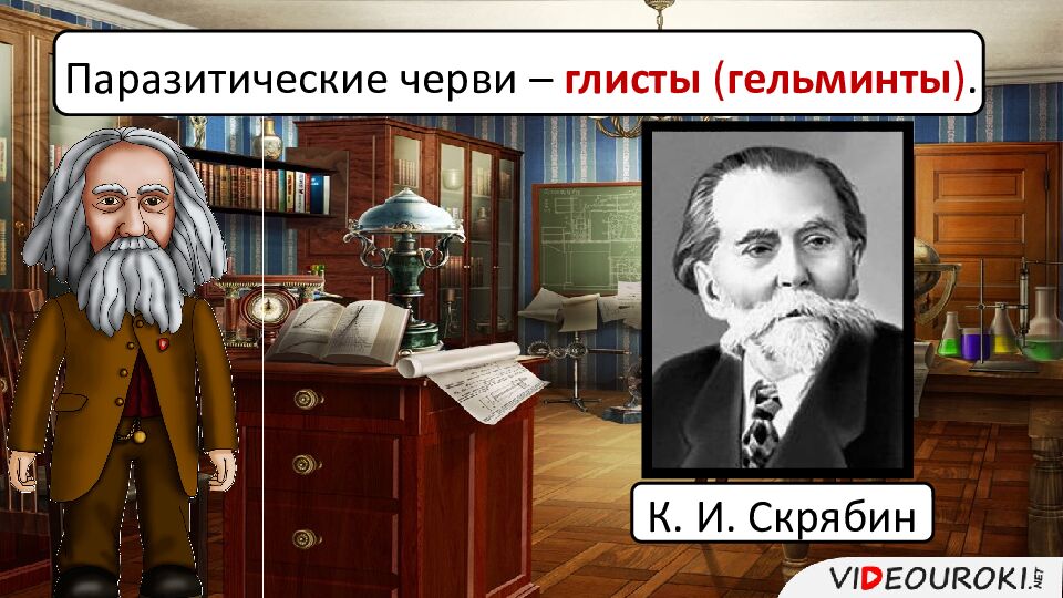 Паразитические черви – глисты ( гельминты ).