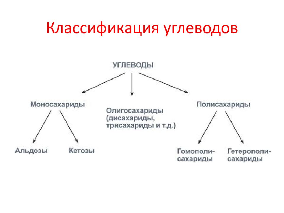 Углеводы биохимия презентация