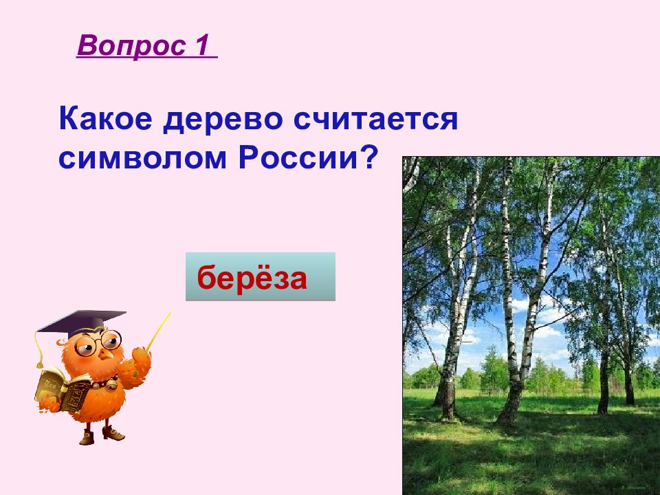 Что считается символом. Какое дерево по праву считается символом России. Какое дерево считается символом России. Когда и где презентация 4 класс. Какое дерево считается символом любви.