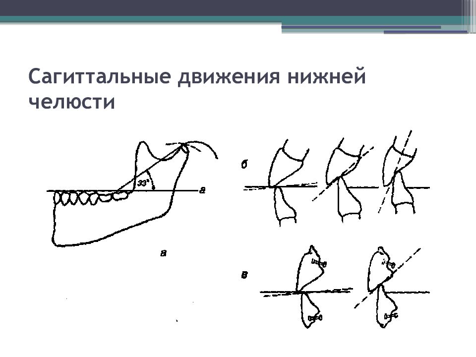 Биомеханика нижней челюсти. Сагиттальный резцовый путь. Сагиттальные движения нижней челюсти. Сагиттальное направление нижней челюсти.