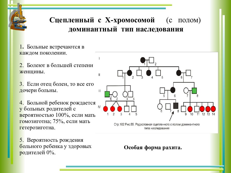 Родословная по 1 признаку. Задачи по генетике на сцепленное с полом наследование с решением. Родословная с х сцепленным доминантным наследованием. Наследование в родословных Тип наследования. X сцепленный доминантный Тип наследования родословная.