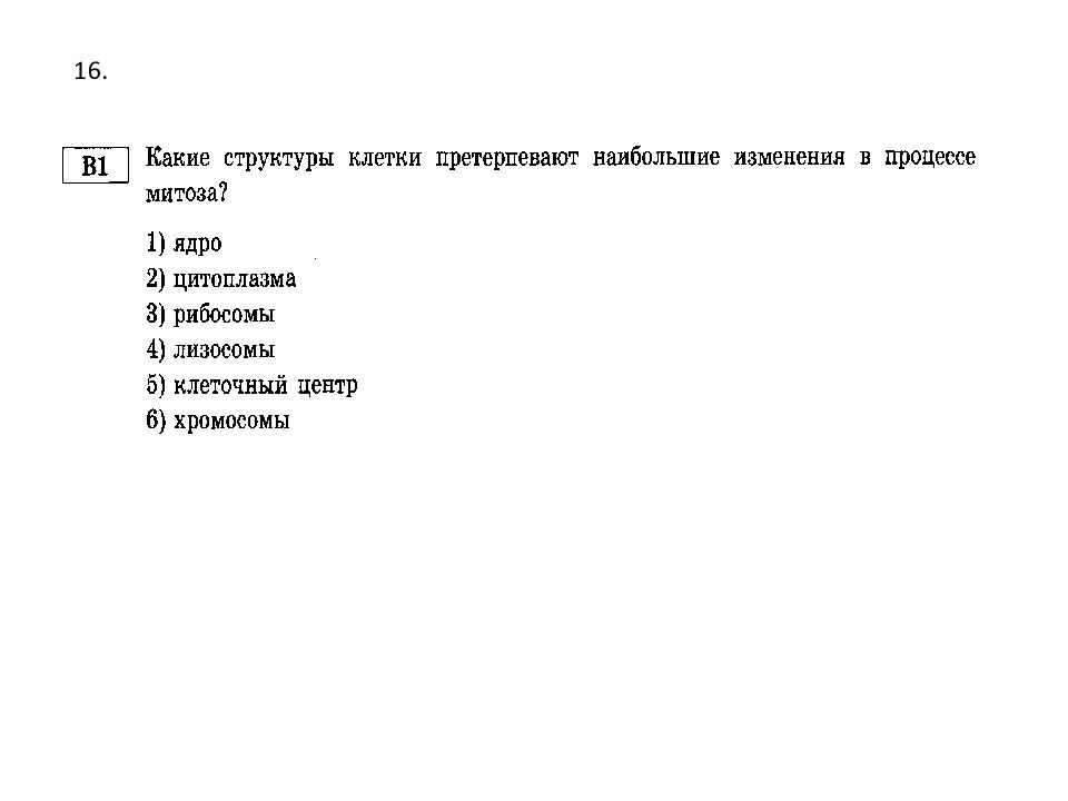 В процессе митоза наибольшие изменения претерпевает