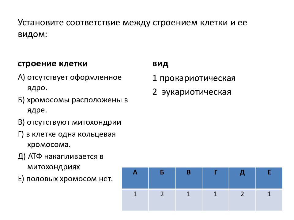 Установите соответствие между характеристиками и органоидами клетки обозначенными цифрами на схеме