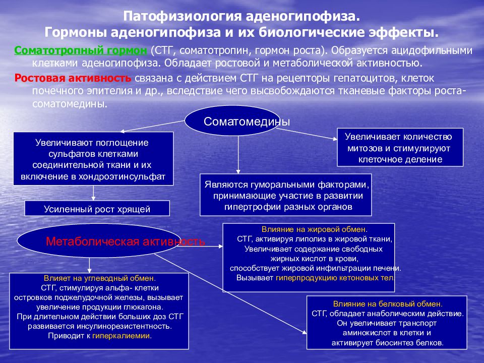 Патофизиология эндокринной системы презентация