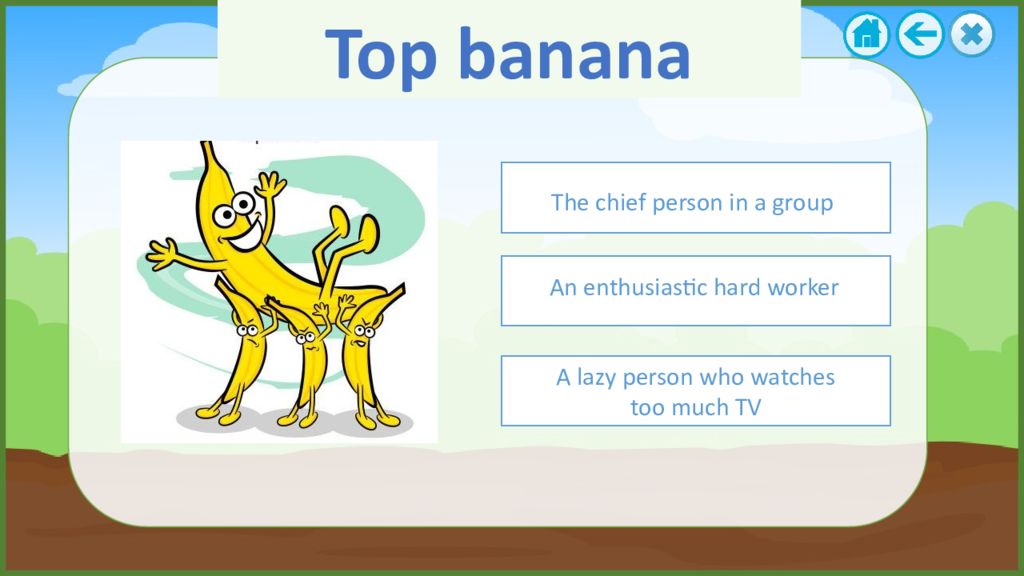 Top Banana идиома. Banana Oil идиома. Top Banana перевод идиомы. Go Bananas идиома.