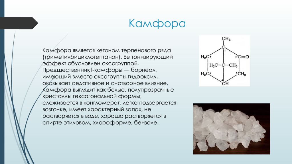 Камфора свойства