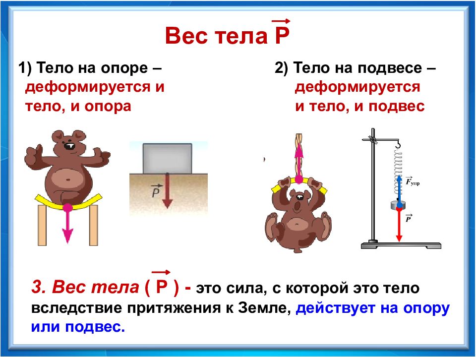 Презентация вес тела