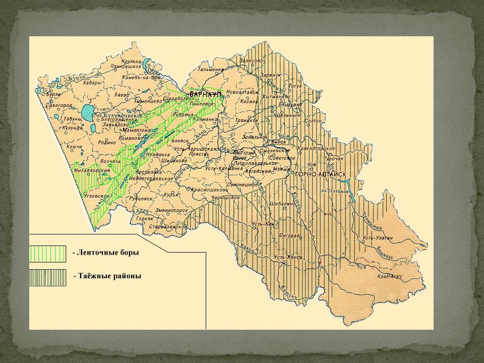 Карта алтайского края и казахстана