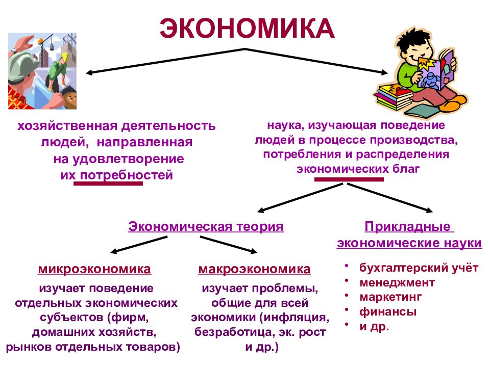 Экономика это наука изучающая. Наука изучающая поведение людей. Экономика это наука изучающая поведение людей. Экономика наука изучающая поведение участников процесса. Наукой изучающей поведение человека в обществе является.