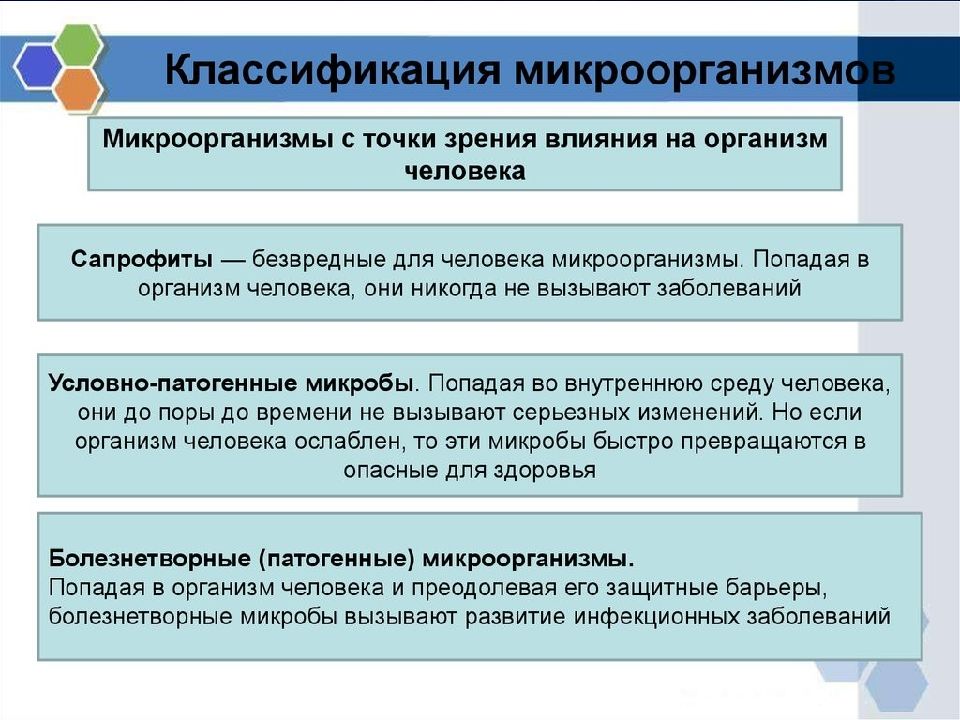 Классификация микроорганизмов микробиология презентация