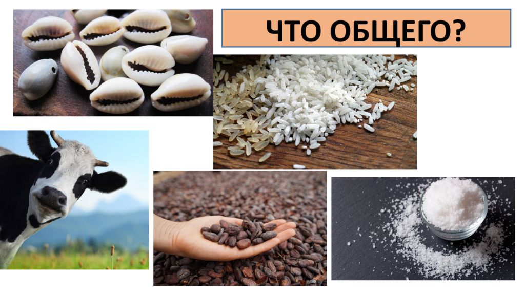 ЧТО ОБЩЕГО?