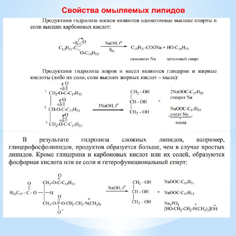 Липиды омыляемые презентация