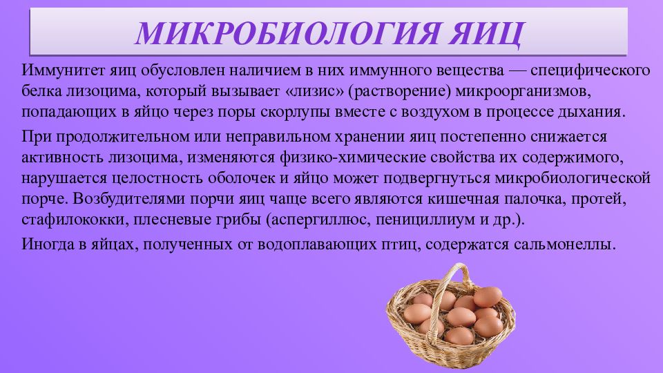 Иммунитет микробиология. Микробиология яиц. Микробиология яичных продуктов. Микробиология важнейших пищевых продуктов яиц. Микробиология пищевых продуктов яиц и яичных продуктов.