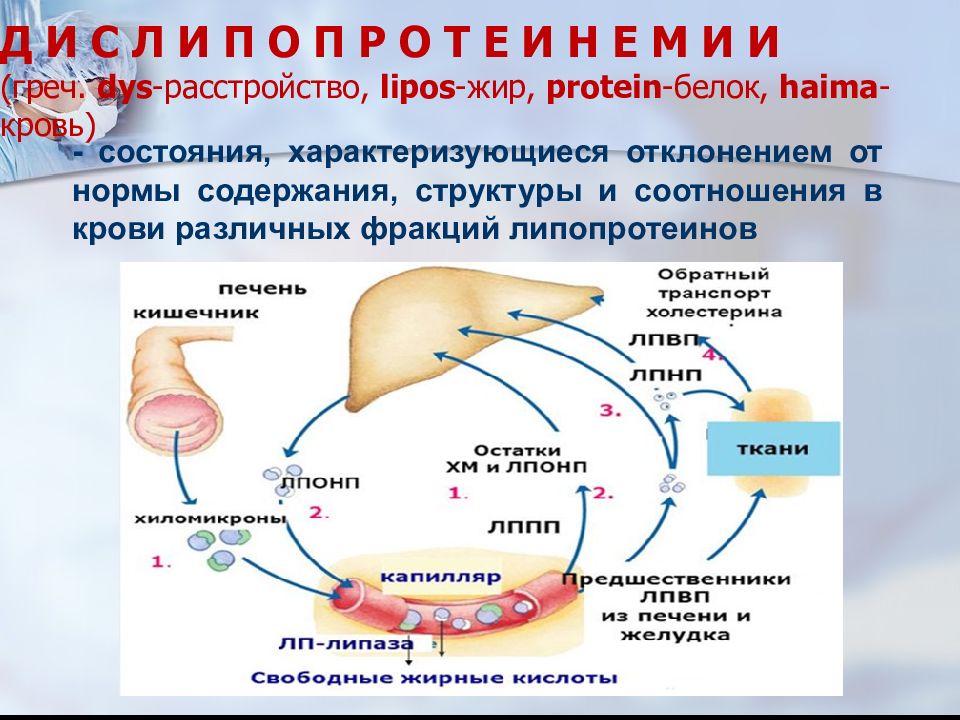 Нарушение липидного обмена презентация патофизиология