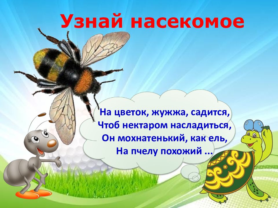 Кто такие насекомые презентация 1 класс. На цветок Жужа садиться чтоб нектаром насладиться.