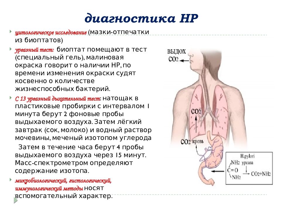 Сестринский уход при гастритах презентация