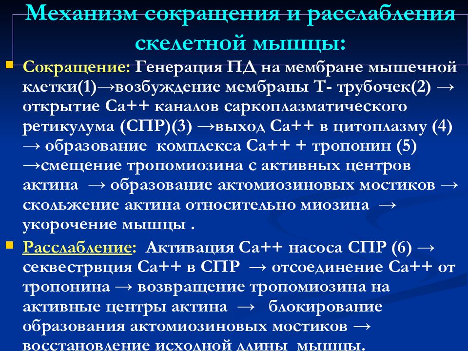 Сокращение мышечной ткани. Механизм мышечного сокращения ф. Механизм мышечного сокращения и расслабления физиология. Биохимические механизмы мышечного сокращения и расслабления. Механизм сокращения скелетных мышц физиология.