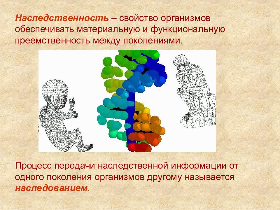 Рисунок наследственность по биологии