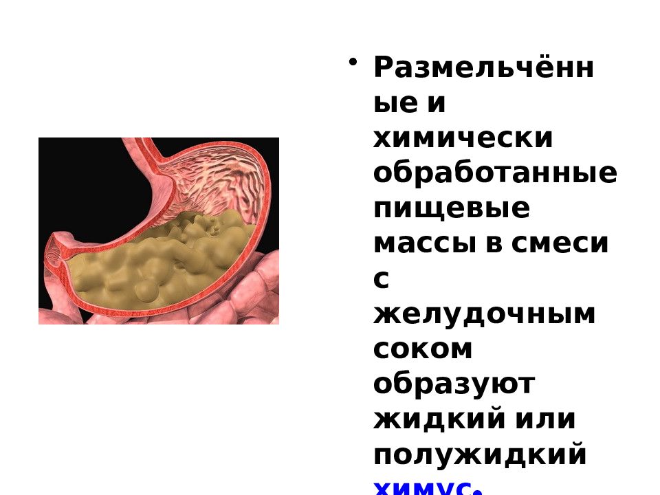 Желудочный Сок Купить В Аптеке