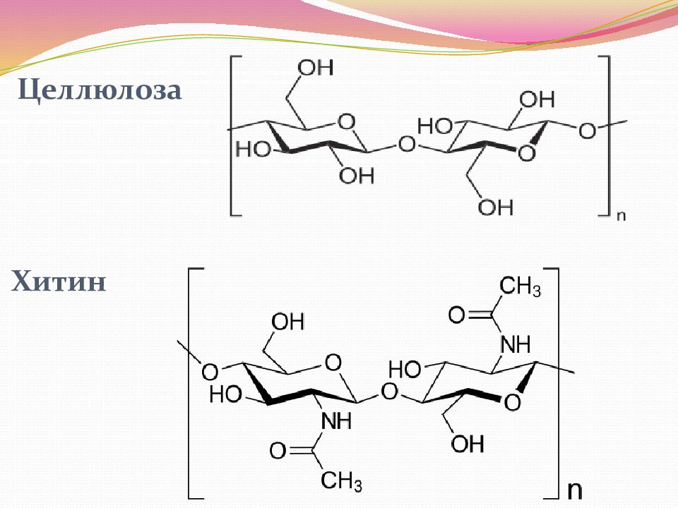 Целлюлоза связи. Крахмал гликоген Целлюлоза хитин. Крахмал гликоген Целлюлоза хитин формулы. Хитин и муреин. Хитин муреин и Целлюлоза.