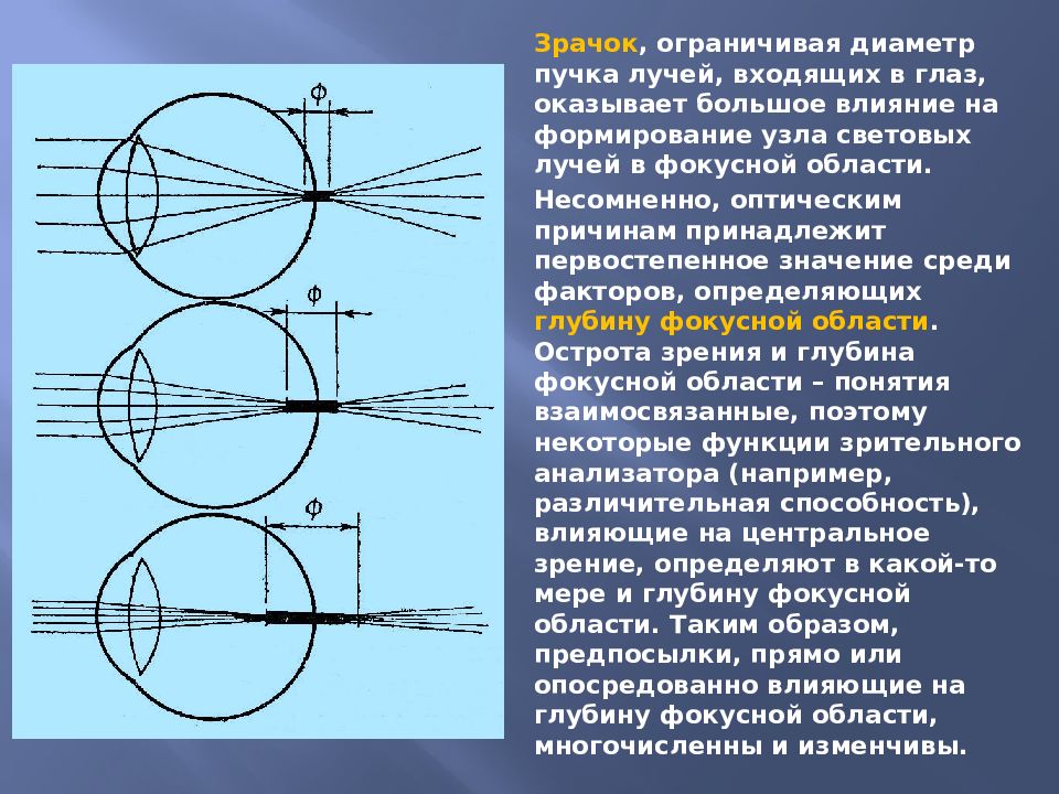 Оптика око. Виды рефракции глаза. Фаза рефракции.