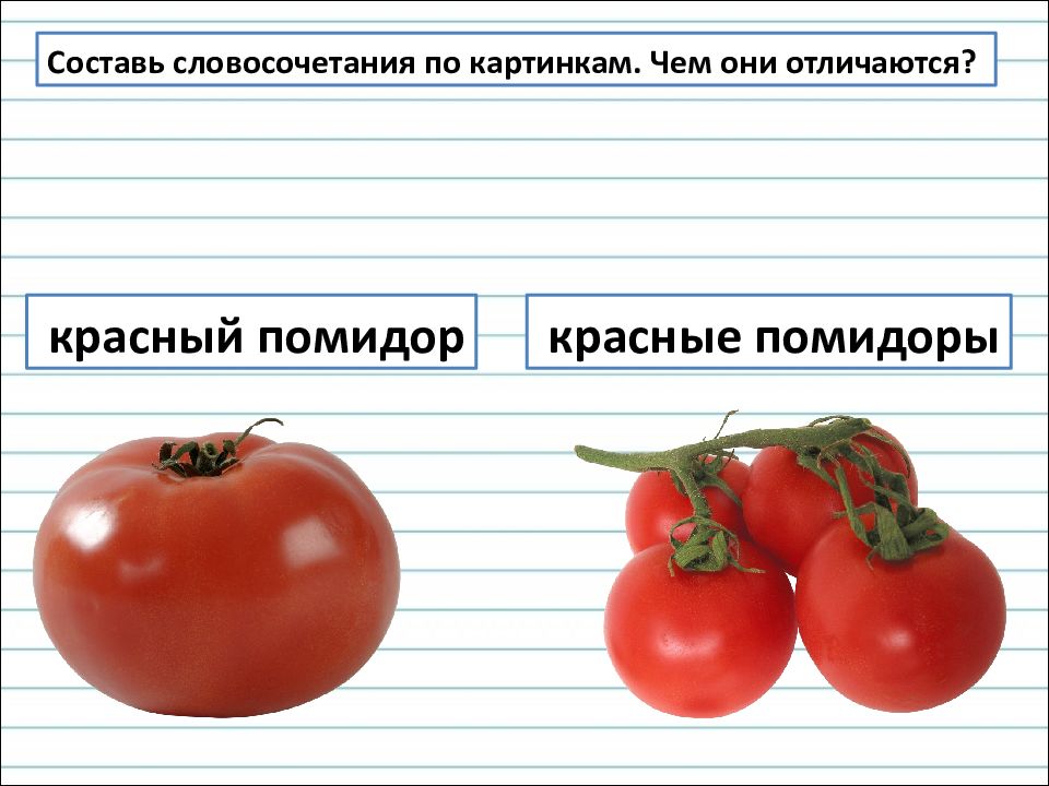 Единственное и множественное число имен прилагательных 2 класс школа россии конспект и презентация