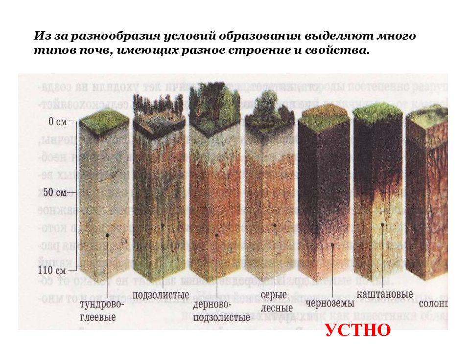 Презентация по географии 6 класс почва