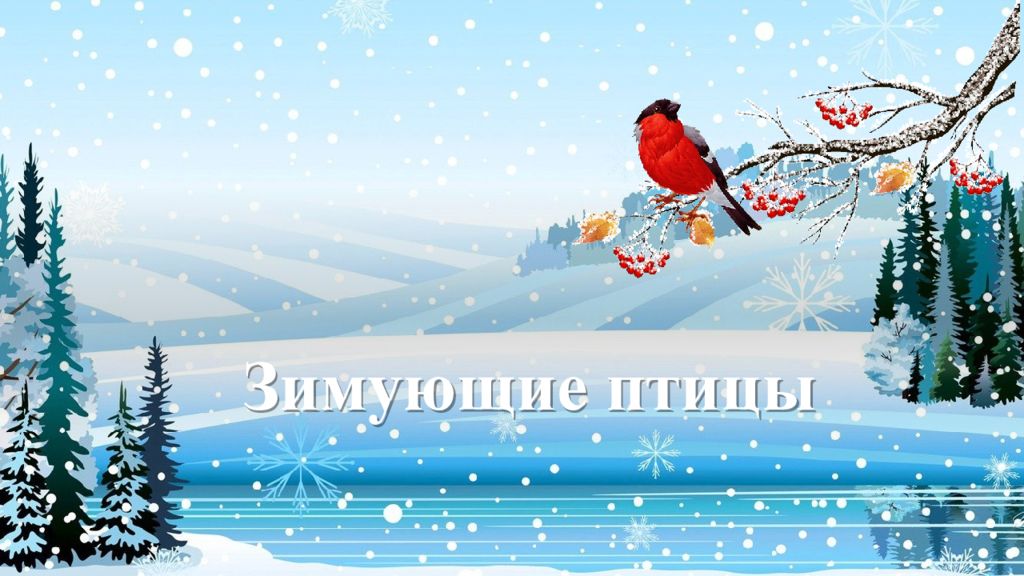 Зимующие птицы