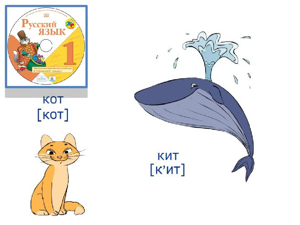 Звуки в слове кит. Кит и кот. Кит звуковая схема. Звуковая схема кот и кит. Схемы слов кит и кот.
