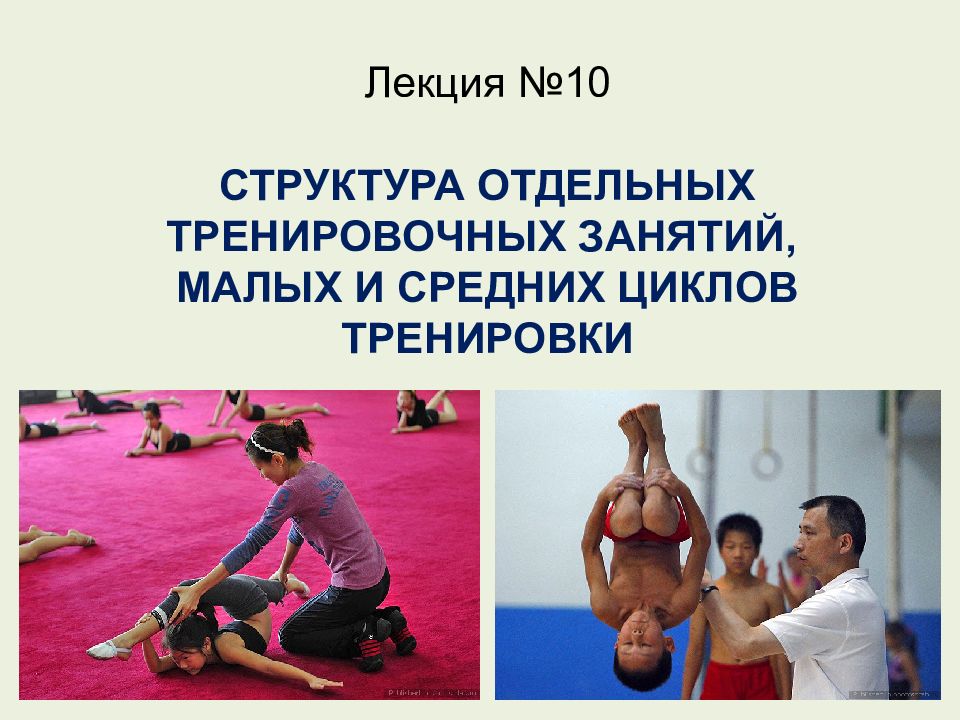 Лекция №10 СТРУКТУРА ОТДЕЛЬНЫХ ТРЕНИРОВОЧНЫХ ЗАНЯТИЙ, МАЛЫХ И СРЕДНИХ ЦИКЛОВ