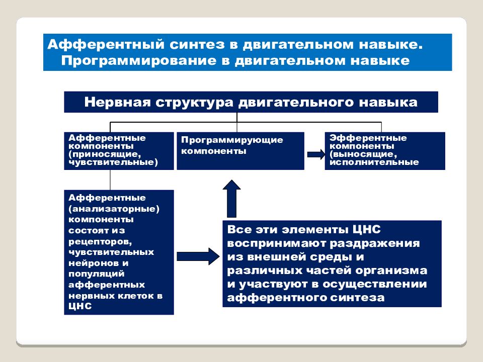 Физиология физического воспитания и спорта. Программирование двигательного навыка. Какие разделы включает физиология физического воспитания и спорта.