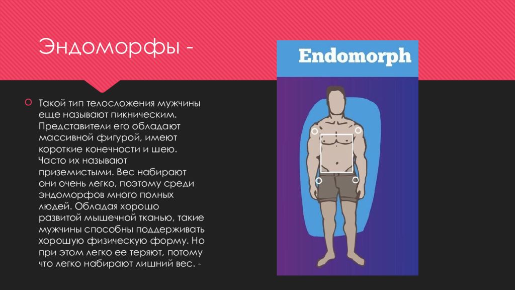 Эндоморфы. Особенности телосложения человека. Эндоморфный Тип телосложения. Эндоморфный Тип Конституции характеризуется. Эндоморф характеризуется.