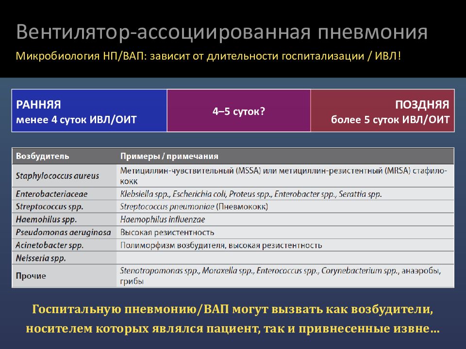 вентилятор-ассоциированная пневмония презентация. вентилятор ассоциированные пневмонии. вентилятор ассоциированная пневмония. вентиляторассциированная пневмония. вентиляторассциированная пневмония.