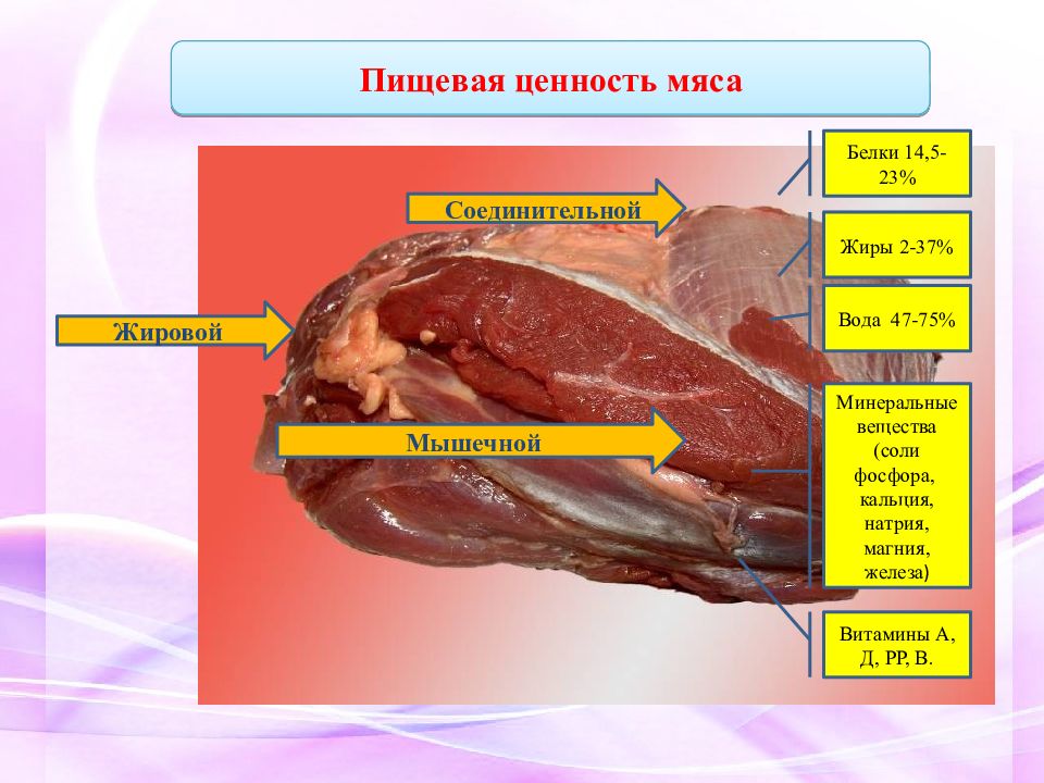 Технология первичной обработки мяса 6 класс фгос презентация